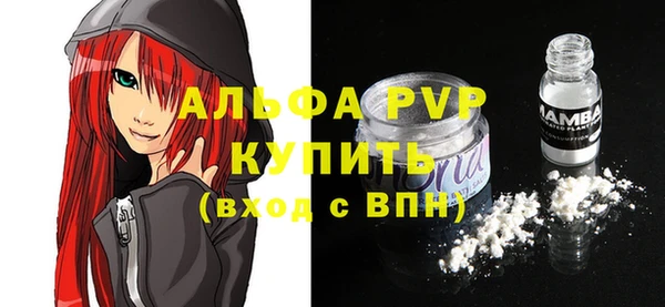 сатива Иннополис