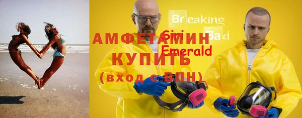 сатива Иннополис