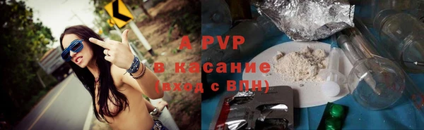 сатива Иннополис