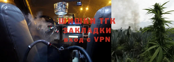 сатива Иннополис
