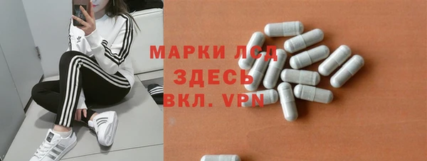 сатива Иннополис