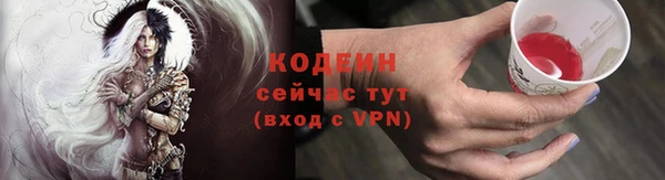 сатива Иннополис