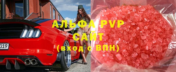 сатива Иннополис