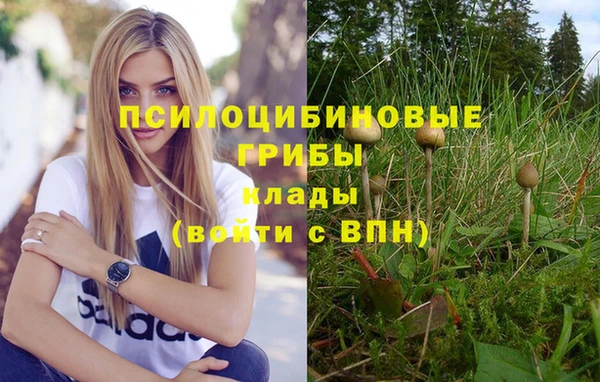 кокаин перу Инсар
