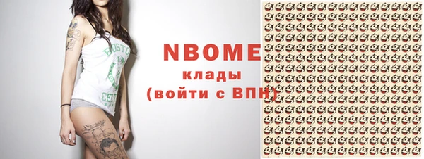 сатива Иннополис