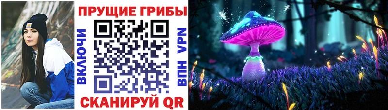 Галлюциногенные грибы ЛСД  Купить закладки  Шарья 